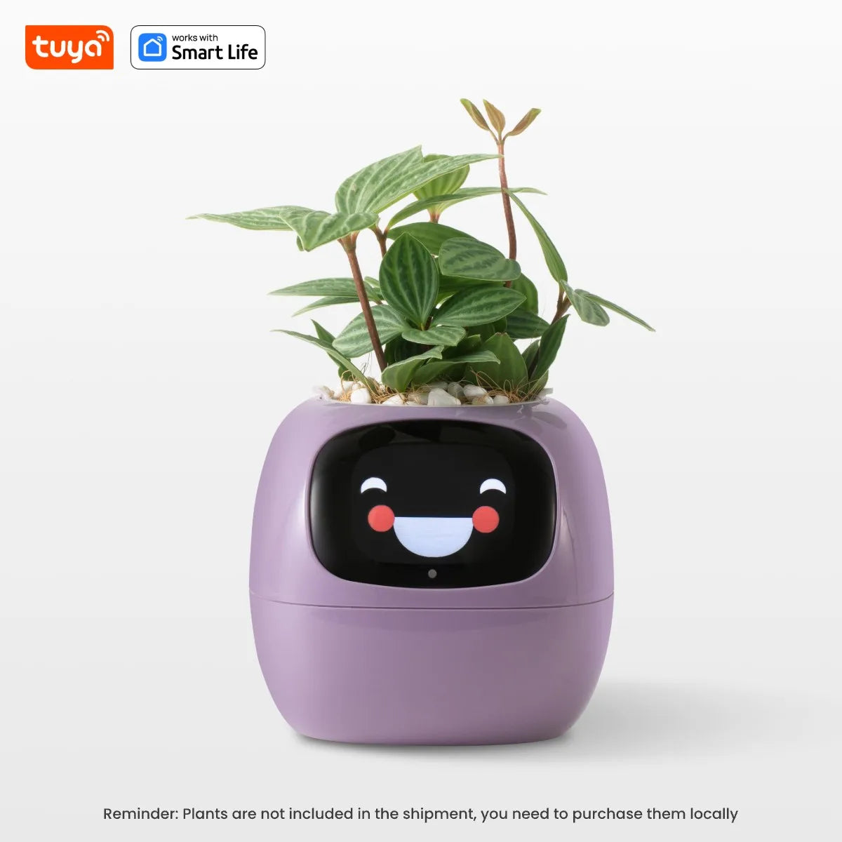 Smart Planter Endless Fun Over 49 Rich Expressions 7 Smart Sensors And AI Chips Make Raising Plants Easy And Fun