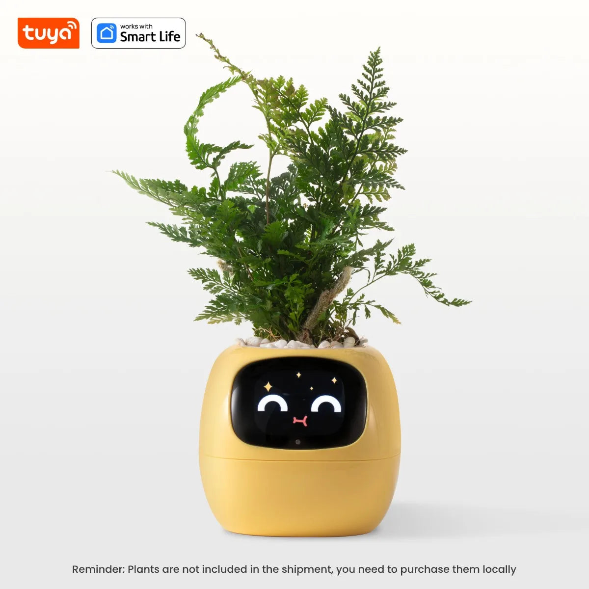 Smart Planter Endless Fun Over 49 Rich Expressions 7 Smart Sensors And AI Chips Make Raising Plants Easy And Fun