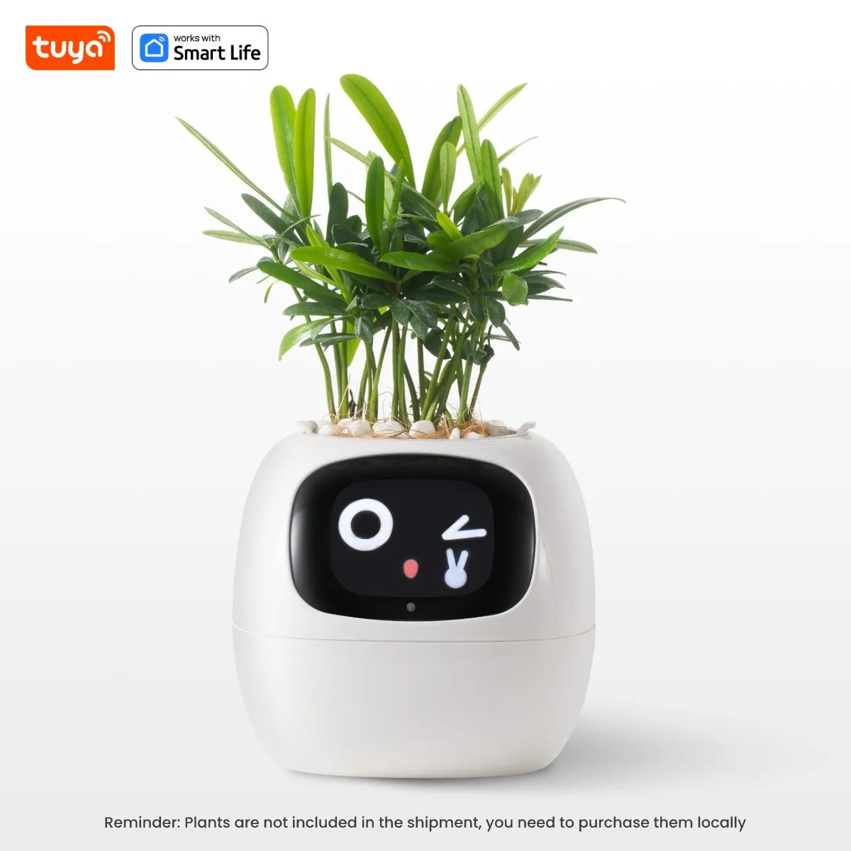 Smart Planter Endless Fun Over 49 Rich Expressions 7 Smart Sensors And AI Chips Make Raising Plants Easy And Fun