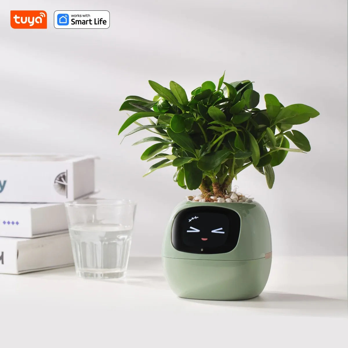 Smart Planter Endless Fun Over 49 Rich Expressions 7 Smart Sensors And AI Chips Make Raising Plants Easy And Fun